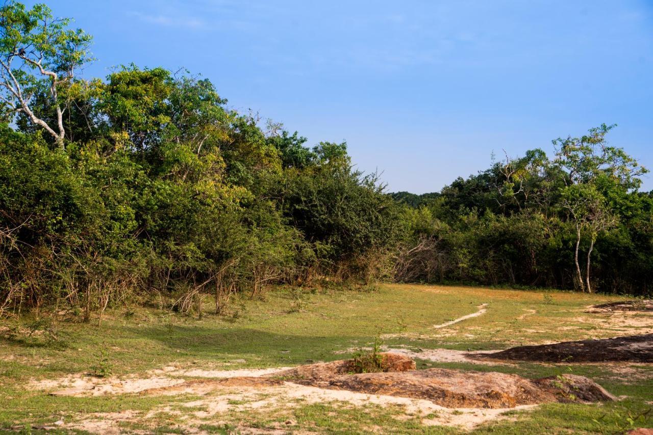 Wild Trails Yala By Suri Otel Dış mekan fotoğraf